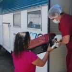 Castração gratuita em Manaus beneficia cães e gatos