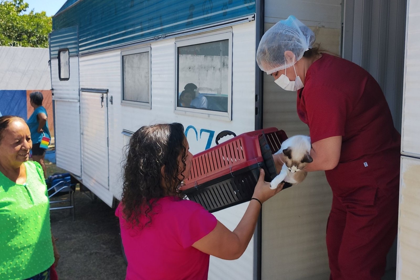 Castração gratuita em Manaus beneficia cães e gatos