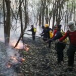 Amazonas avança no combate às queimadas e ao desmatamento