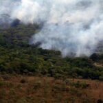 África e Ásia impulsionam queda das emissões