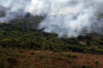 África e Ásia impulsionam queda das emissões