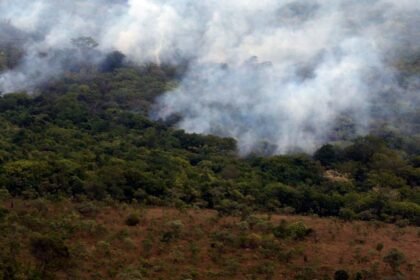 África e Ásia impulsionam queda das emissões