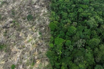 Amazônia reduz alertas de desmatamento durante estação seca