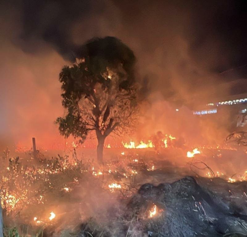 Incêndios urbanos e florestais sobem em Manaus