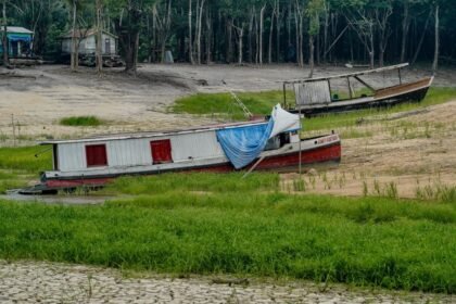 COP17 debate benefícios econômicos da restauração