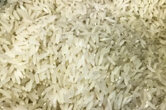 PAA permitirá envio de arroz à Colômbia após terremoto