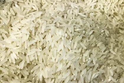 PAA permitirá envio de arroz à Colômbia após terremoto