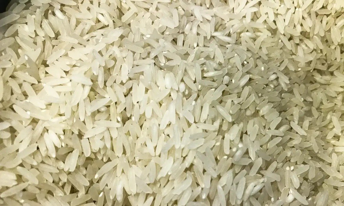 PAA permitirá envio de arroz à Colômbia após terremoto