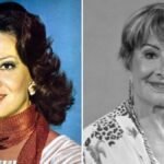 Morre Glória Menezes, referência nacional