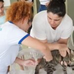 semsa-equipes-campanha-vacinacao-antirrabica-manaus