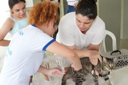 semsa-equipes-campanha-vacinacao-antirrabica-manaus