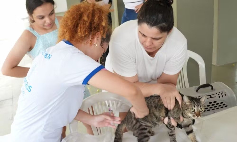 semsa-equipes-campanha-vacinacao-antirrabica-manaus