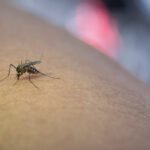 Prevenção deve considerar características de cada região