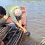 120 kg de pirarucu são apreendidos no Rio Cuniuá