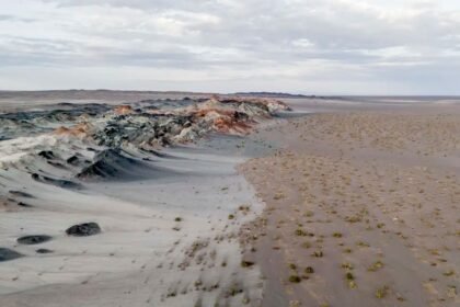 DNA revela fungos ainda desconhecidos no Gobi