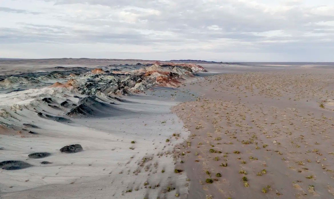 DNA revela fungos ainda desconhecidos no Gobi