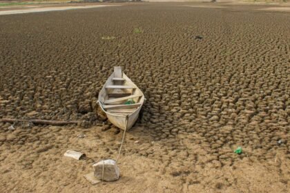 Metas ambientais incluem territórios indígenas e áreas protegidas