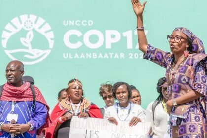 Ativistas cobram participação efetiva na COP17