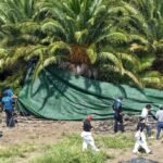 Policial nega acusações no caso de Jeju