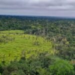 Proteção das terras indígenas ajuda a preservar a Amazônia