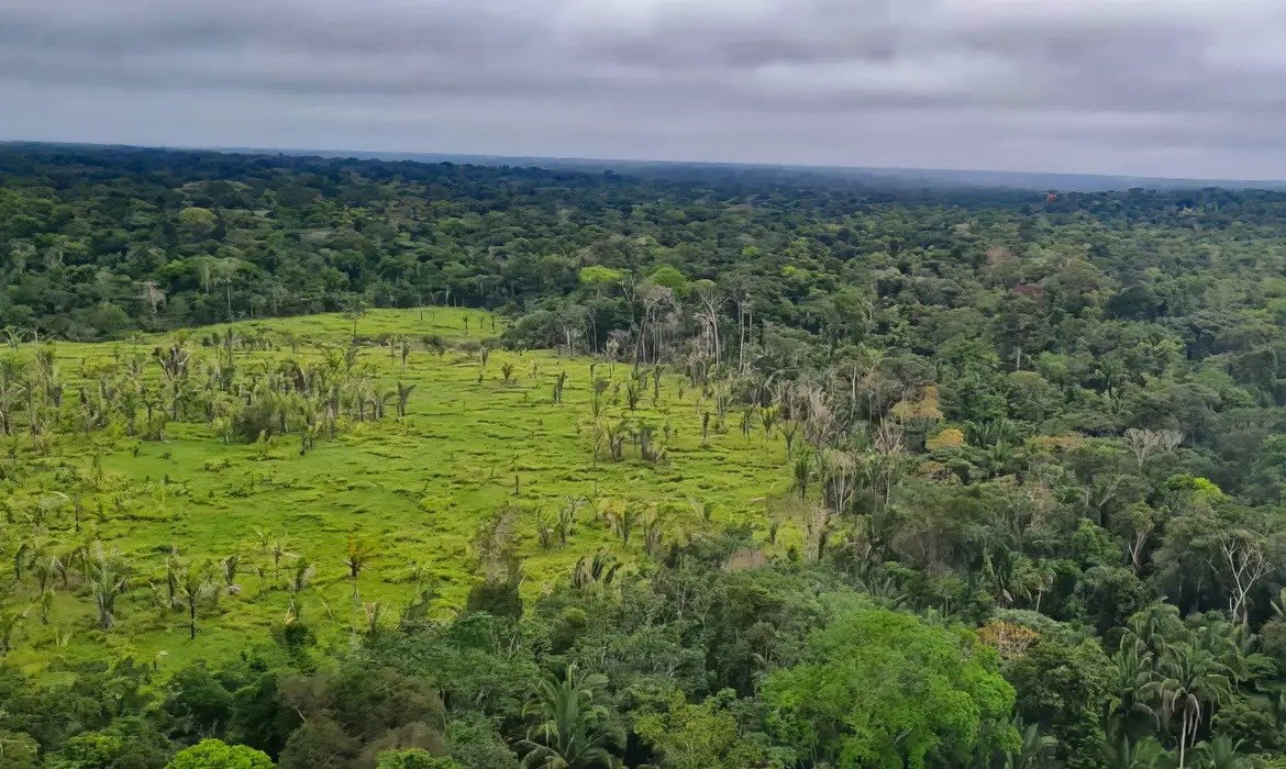 Proteção das terras indígenas ajuda a preservar a Amazônia