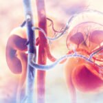 Doença renal exige atenção a complicações cardíacas