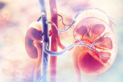 Doença renal exige atenção a complicações cardíacas