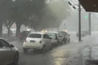 Vários estados podem ter chuva nesta semana