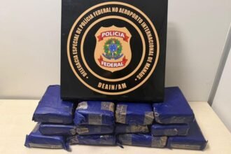 Skunk é encontrado em bagagem no Aeroporto de Manaus