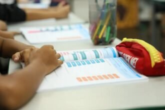 Censo Escolar terá dados sobre rendimento e movimento dos alunos