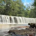 Fiscalização ambiental acompanha Rio Urubu após alteração na Cachoeira Natal