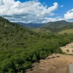 MapBiomas revela mudanças de 41 anos na Mata Atlântica
