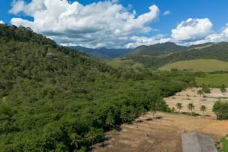 MapBiomas revela mudanças de 41 anos na Mata Atlântica