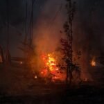 Bombeiros atuam em ocorrência no Parque das Tribos
