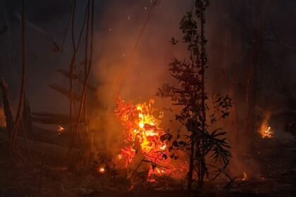 Bombeiros atuam em ocorrência no Parque das Tribos